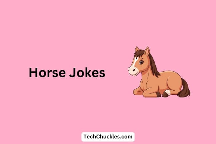 Horse Jokes That Will Leave You in the Hay with Laughter